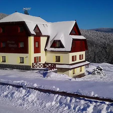 Guest house Martin Janske Lazne